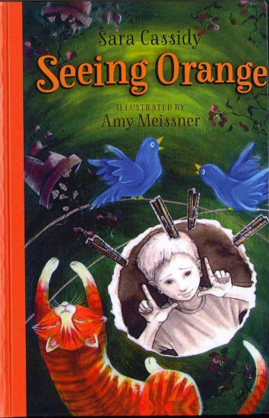 Seeing orange / Sara Cassidy ; illustrated by Amy Meissner.