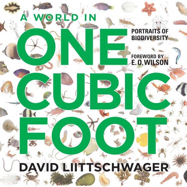 A world in one cubic foot : portraits of biodiversity / David Liittschwager ; foreword by E.O. Wilson.