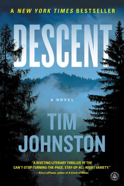 Descent : a novel / Tim Johnston.