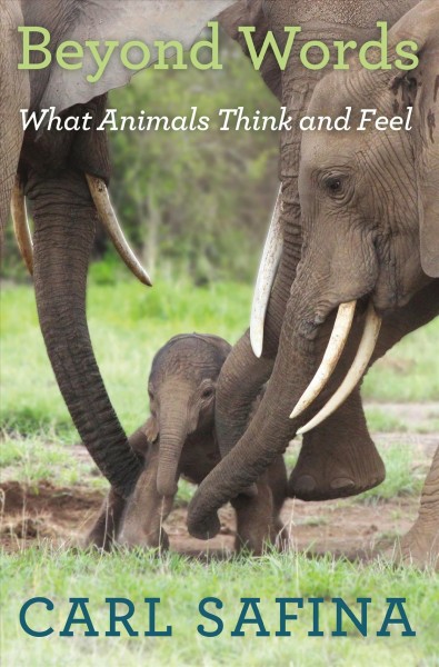 Beyond words : what animals think and feel / Carl Safina.