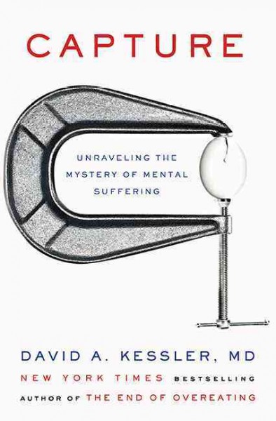Capture : unraveling the mystery of mental suffering / David A. Kessler, MD.