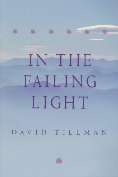 In the failing light : a memoir / David Tillman.
