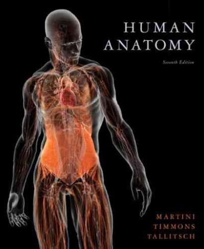 Human anatomy / Frederic H. Martini, Michael J. Timmons, Robert B. Tallitsch ; with William C. Ober, art coordinator and illustrator ; Claire W. Garrison, iIllustrator ; Kathleen Welch, clinical consultant ; Ralph T. Hutchings, biomedical photographer.