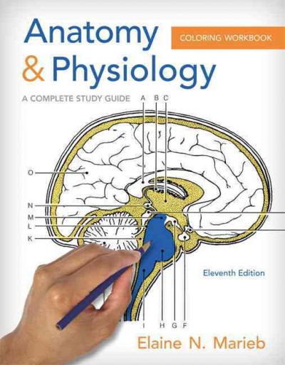 Anatomy & physiology coloring workbook : a complete study guide / Elaine N. Marieb, R.N., Ph.D., Holyoke Community College.