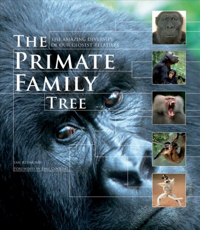 The primate family tree : the amazing diversity of our closest relatives / Ian Redmond ; foreword by Jane Goodall.