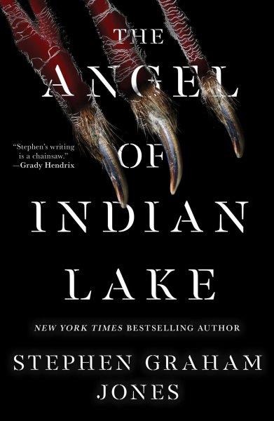 The angel of Indian Lake / Stephen Graham Jones.