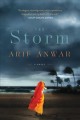 The storm : a novel  Cover Image