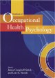 Handbook of occupational health psychology  Cover Image