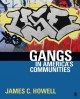Gangs in America's communities  Cover Image