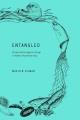 Go to record Entangled : people and ecological change in Alaska's Kache...
