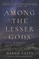 Among the lesser gods : a novel  Cover Image