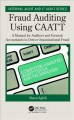 Fraud auditing using CAATT : a manual for auditors and forensic accountants to detect organizational fraud  Cover Image