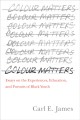 Colour matters : essays on the experiences, education, and pursuits of Black youth  Cover Image