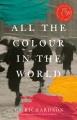 All the colour in the world: A novel  Cover Image