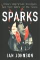 Sparks : China's underground historians and their battle for the future  Cover Image