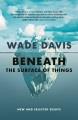 Beneath the surface of things : new and selected essays  Cover Image