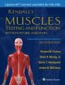 Kendall's muscles : testing and function with posture and pain  Cover Image