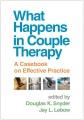 What happens in couple therapy : a casebook on effective practice  Cover Image