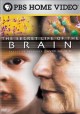 The secret life of the brain Cover Image